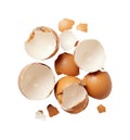 Cracked eggshells scattered on white background Royalty Free Stock Photo