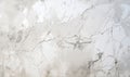 Cracked Elegance: A Timeless, Weathered, and Majestic Wall of White Marble