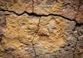 Cracked, eroded surface displaying a rough texture and earthy Royalty Free Stock Photo