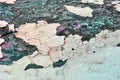 Cracked faded pink paint on green and purple old wall Royalty Free Stock Photo