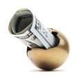 Isolated Gold Egg With Cash On White Royalty Free Stock Photo