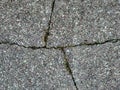 Cracked gray concrete old ground tile with pieces of grass rough texture background Royalty Free Stock Photo