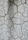 Cracked gray surface texture resembling dried earth or aging paint. The cracks form Royalty Free Stock Photo