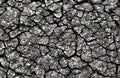 Cracked grey dry earth background. Old earth with cracks, top view. Grey old dry earth with cracks. Royalty Free Stock Photo