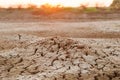Cracked ground cause of drought effect