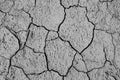 Cracked ground caused by drought in summer Royalty Free Stock Photo