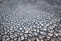 Cracks on the surface of the earth are altered by the shrinkage of mud due to drought Royalty Free Stock Photo