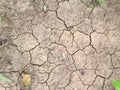 The cracked ground, the drought - background. Brown dry soil or cracked ground texture background. Dry and cracked land, dry due Royalty Free Stock Photo