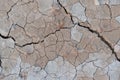 Cracked ground drought Royalty Free Stock Photo