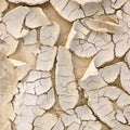 Cracked ground after drought, large detailed macro closeup, beige texture pattern Royalty Free Stock Photo