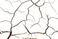 Cracked ground in drought. Soil texture and dry mud. on Royalty Free Stock Photo