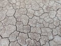 cracked ground due to drought on a plain in northern Kalimantan, Indonesia Royalty Free Stock Photo