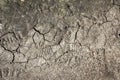 Dry muddy background Royalty Free Stock Photo
