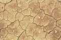 The cracked ground, Ground in drought, Soil texture and dry mud, Dry land, dry cracked eart background. Royalty Free Stock Photo