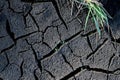 Cracked ground near river, drying out gray mud and green grass. Royalty Free Stock Photo