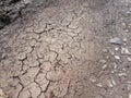 Cracked ground, path, dry soil. Ecology concept. Cracked earth texture and background. Dry field, water, land, sand. Royalty Free Stock Photo