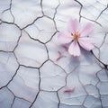 Cracked ground with pink flower in the middle. Abstract background. Royalty Free Stock Photo