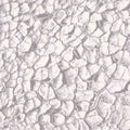 Cracked Ground Texture. Cracks on clay