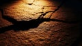 Cracked Ground Texture with Dramatic Lighting Royalty Free Stock Photo