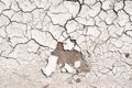 Cracked ground textured. White dried and cracks ground earth background Royalty Free Stock Photo