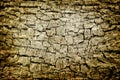 Cracked grunge background w Royalty Free Stock Photo