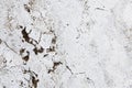 Cracked grungy white stone wall with imperfections and holes as simple texture background