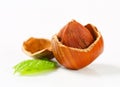 Cracked hazelnut Royalty Free Stock Photo
