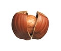 Cracked hazelnut Royalty Free Stock Photo