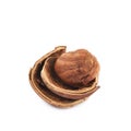 Cracked hazelnut isolated Royalty Free Stock Photo