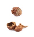 Cracked hazelnut isolated Royalty Free Stock Photo