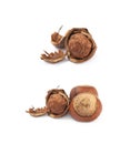 Cracked hazelnut isolated Royalty Free Stock Photo