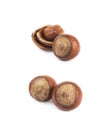 Cracked hazelnut isolated Royalty Free Stock Photo
