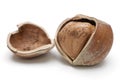 Cracked Hazelnut Isolated on White Royalty Free Stock Photo