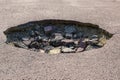 Cracked hole in the asphalt road Royalty Free Stock Photo