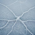 Cracked ice surface displaying intricate, geometric patterns. The ice is lig Royalty Free Stock Photo