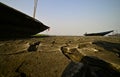 Cracked lake bed of lake Chilika, Odisha, India. Royalty Free Stock Photo