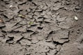Cracked land, drought desert lack of water