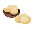 Cracked Macadamia Nut with Broken Shell Vector Illustration Royalty Free Stock Photo