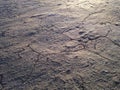 Cracked Mud on Bottom of Receded River. Royalty Free Stock Photo