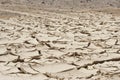 Cracked mud ground in desert, with green plants, bright sun hot summer Royalty Free Stock Photo