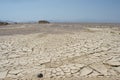 Cracked mud ground in desert, with green plants, bright sun hot summer Royalty Free Stock Photo