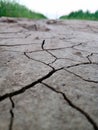 Cracked Mud Ground in hot summer and green fields in the background Royalty Free Stock Photo
