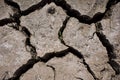Cracked Mud - Life Amongst the Dead Royalty Free Stock Photo