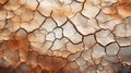 Cracked mud sand texture in a desert flood plain background wallpaper mud cracks.