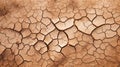 Cracked mud sand texture in a desert flood plain background wallpaper mud cracks.