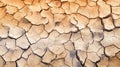 Cracked mud sand texture in a desert flood plain background wallpaper mud cracks.