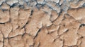 Cracked mud sand texture in a desert flood plain background wallpaper mud cracks.