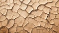 Cracked mud sand texture in a desert flood plain background wallpaper mud cracks.