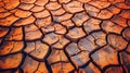 Cracked mud sand texture in a desert flood plain background wallpaper mud cracks.