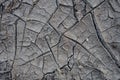 Cracked natural soil background. Dry soil in global warming